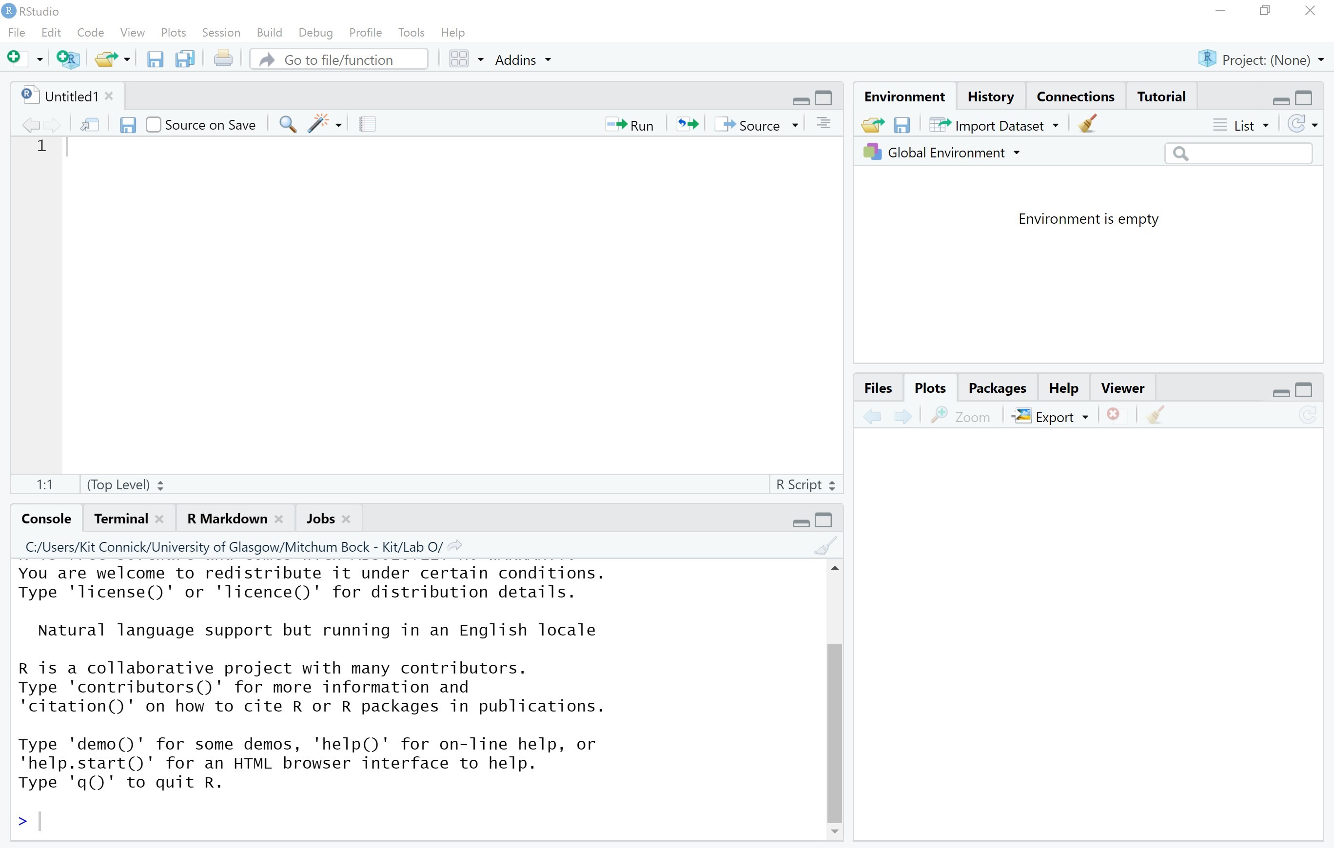 The RStudio IDE